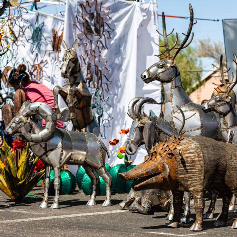 AZAA Marketing Shots 2023-27